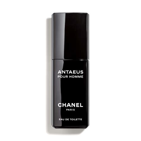 antaeus chanel eau de toilette 200 ml